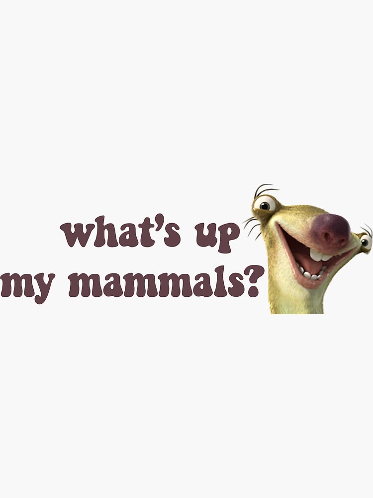 "Sid the Sloth" Sticker for Sale by paigeanderson Redbubble