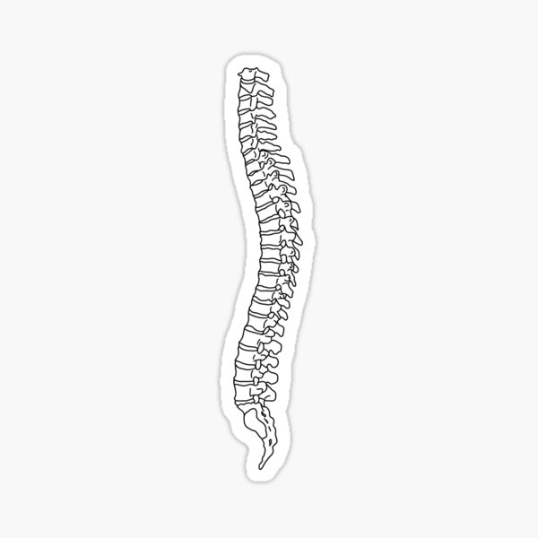 Spines Stickers, Unique Designs