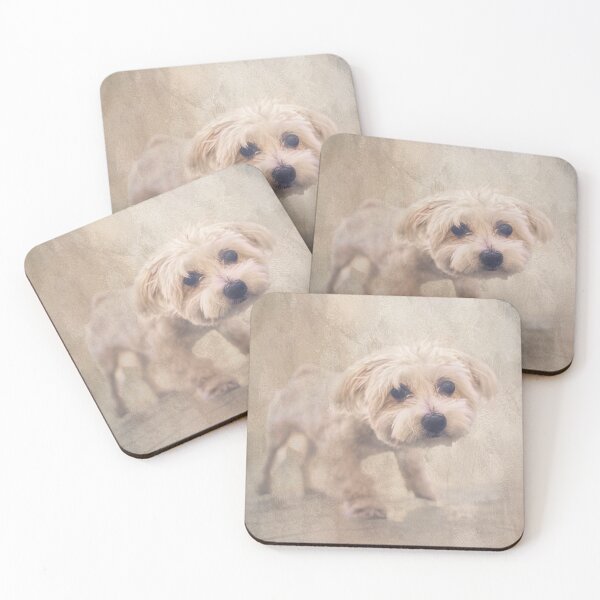 Item preview, Bichon Frise designed and sold by Elisabeth Lucas.