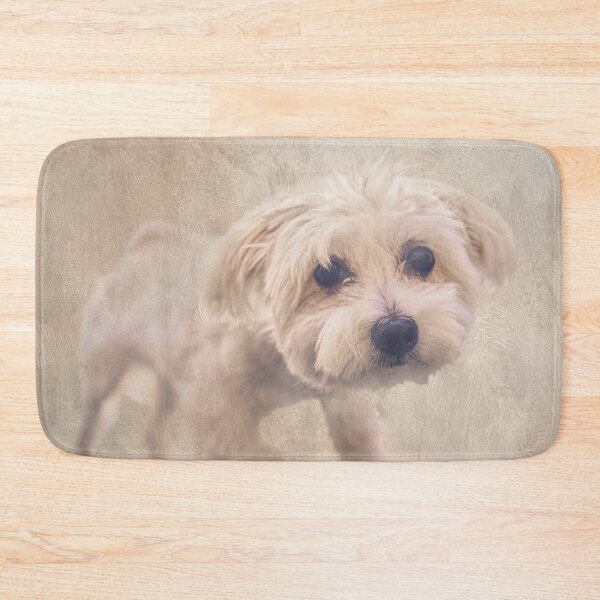 Item preview, Bichon Frise designed and sold by Elisabeth Lucas.