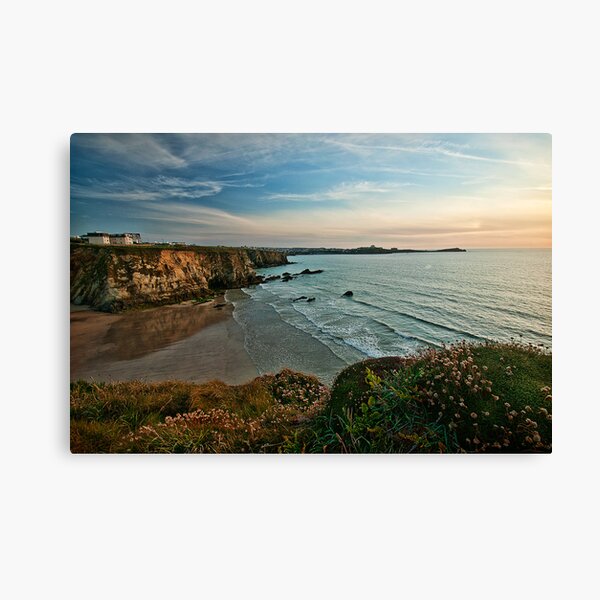 Lusty Glaze Canvas Print