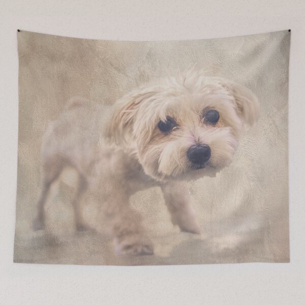 Item preview, Bichon Frise designed and sold by Elisabeth Lucas.