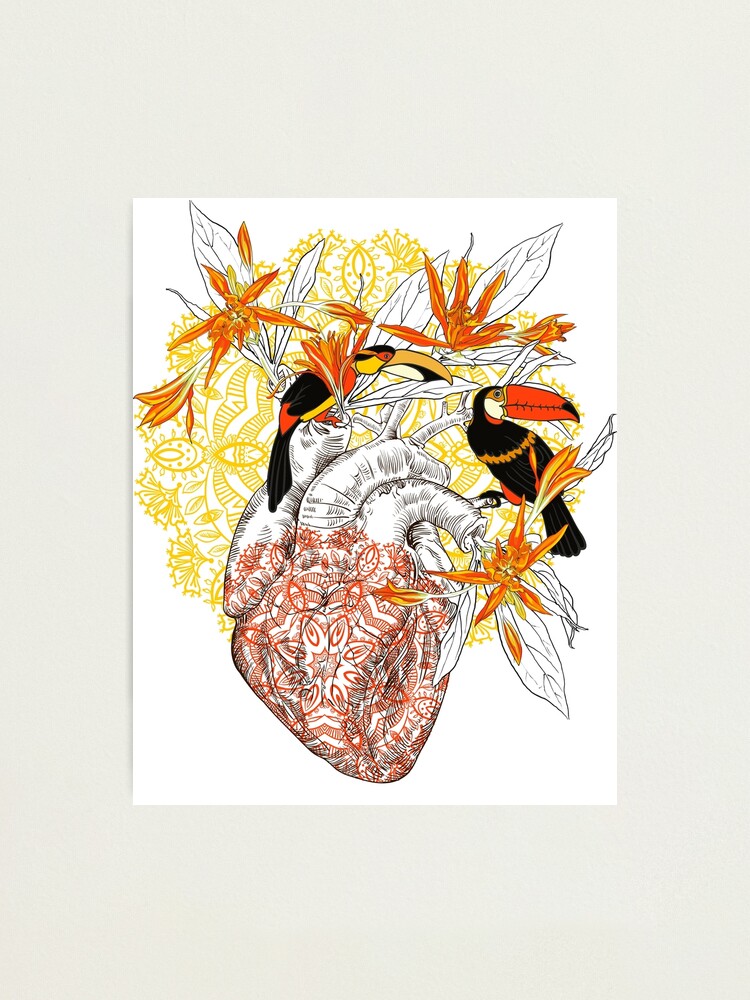 Impression Photo Dessin Coeur Anatomique Humain Avec Des Fleurs Et Deux Oiseaux Toucan Par Olgaberlet Redbubble