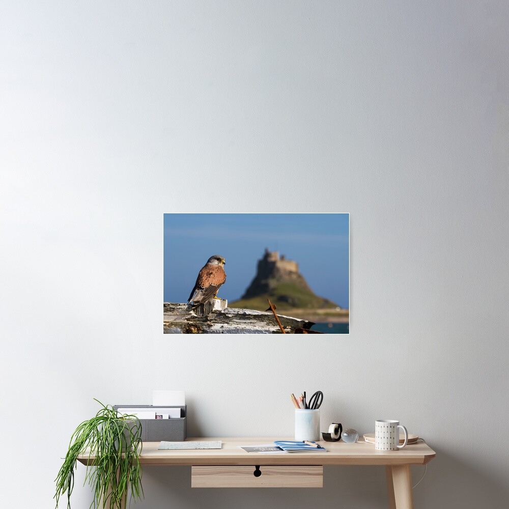 Item preview, Poster designed and sold by FXST.