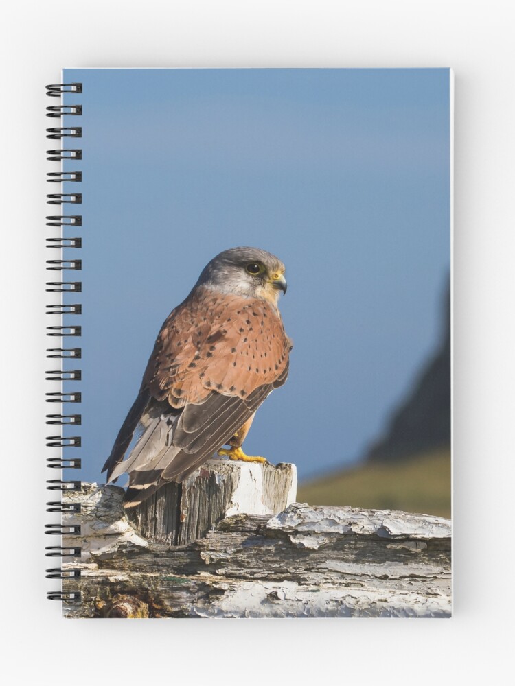 Thumbnail 1 of 3, Journal, Kes designed and sold by FXST.