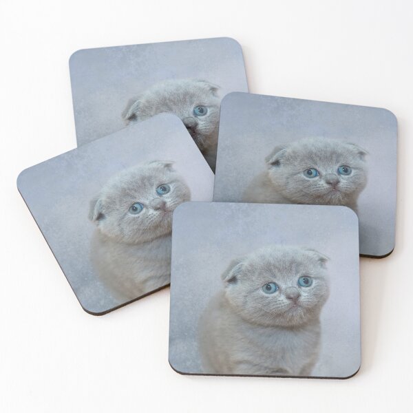 Item preview, Scottish Fold Kitten designed and sold by Elisabeth Lucas.