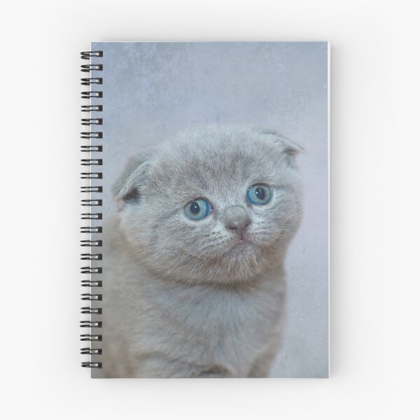 Item preview, Scottish Fold Kitten designed and sold by Elisabeth Lucas.