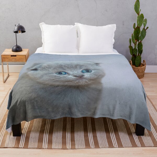 Item preview, Scottish Fold Kitten designed and sold by Elisabeth Lucas.