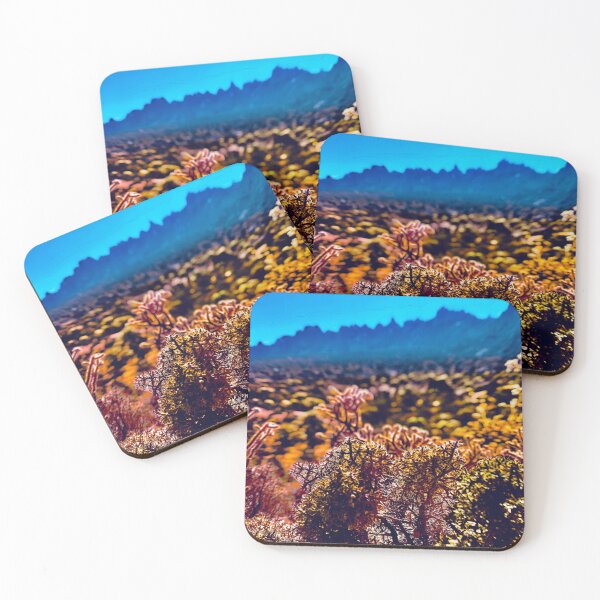 Item preview, "Subsequent Succulents" | Photograph by Nicholas Brendon designed and sold by NickyBrendon.