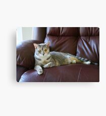Sophie Canvas Print