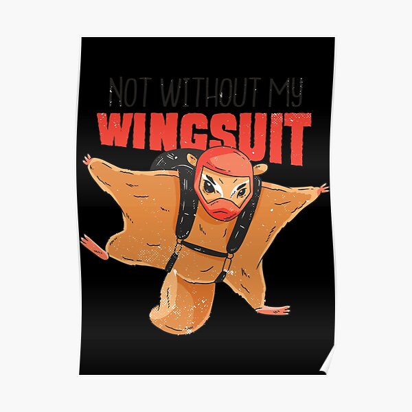 flying squirrel funny Poster