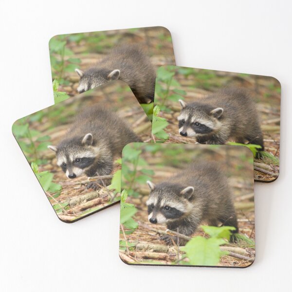 Item preview, Cute Baby Raccoon designed and sold by BRENDA DOHERTY.