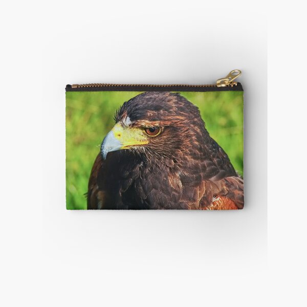 Item preview, Harris Hawk - Parabuteo-unicinctus designed and sold by Dorset Girl.