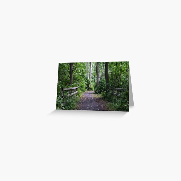 Catharine Valley Trail 2 Greeting Card