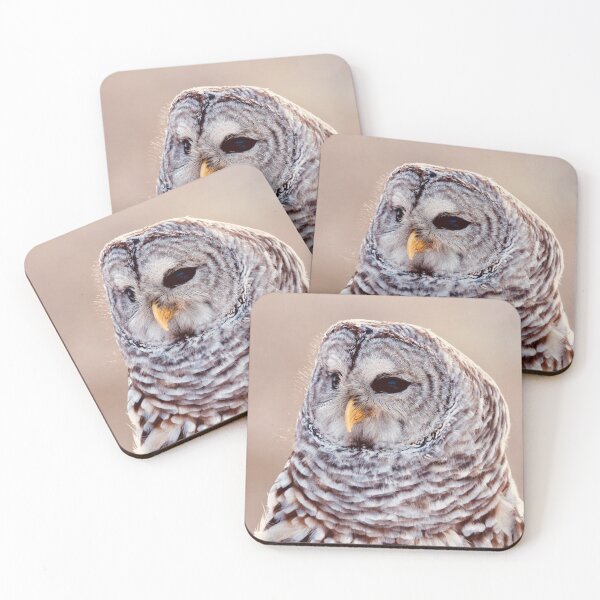 Item preview, Barred Owl designed and sold by BRENDA DOHERTY.