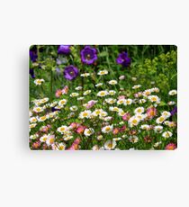 posies Canvas Print