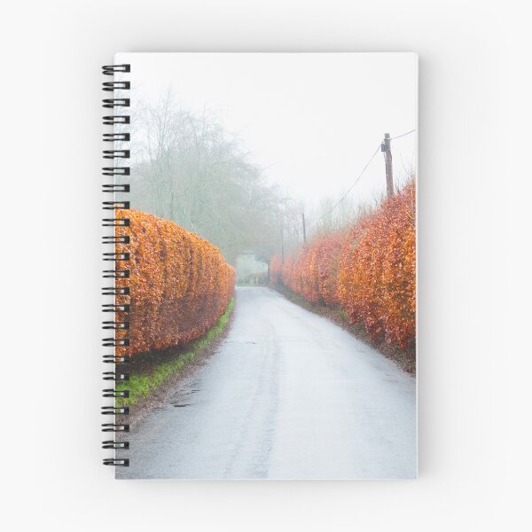 Item preview, Sweeping Curve of Colour designed and sold by bartlehalpin.
