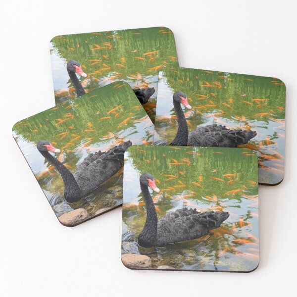 Item preview, Black Swan in a Goldfish Pond designed and sold by Catherine Sherman.