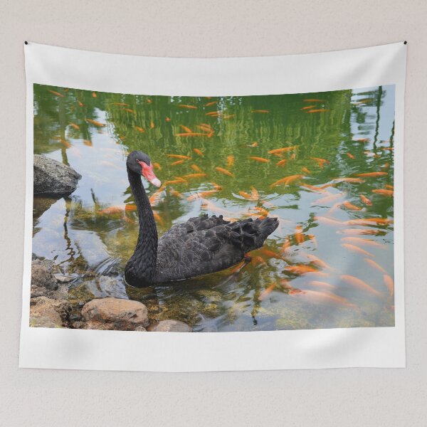 Item preview, Black Swan in a Goldfish Pond designed and sold by Catherine Sherman.