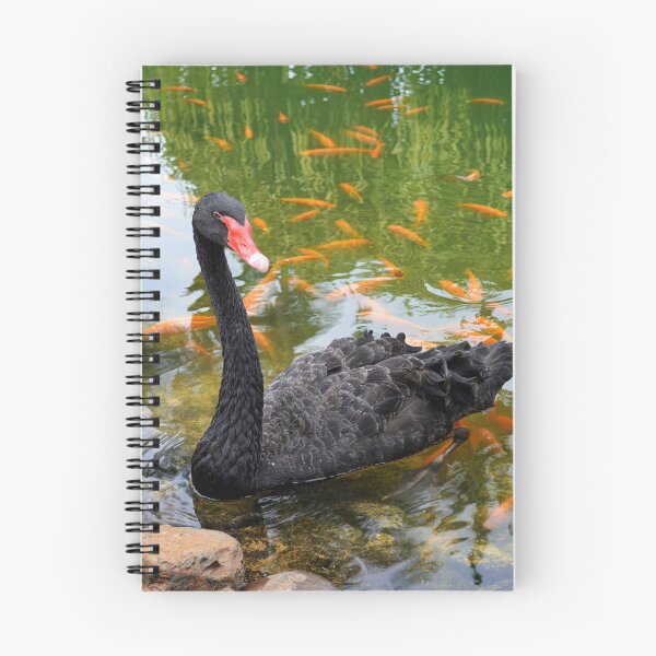 Item preview, Black Swan in a Goldfish Pond designed and sold by Catherine Sherman.