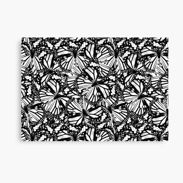 Monarch Butterflies | Vintage Butterflies | Butterfly Patterns | Black and White | Canvas Print