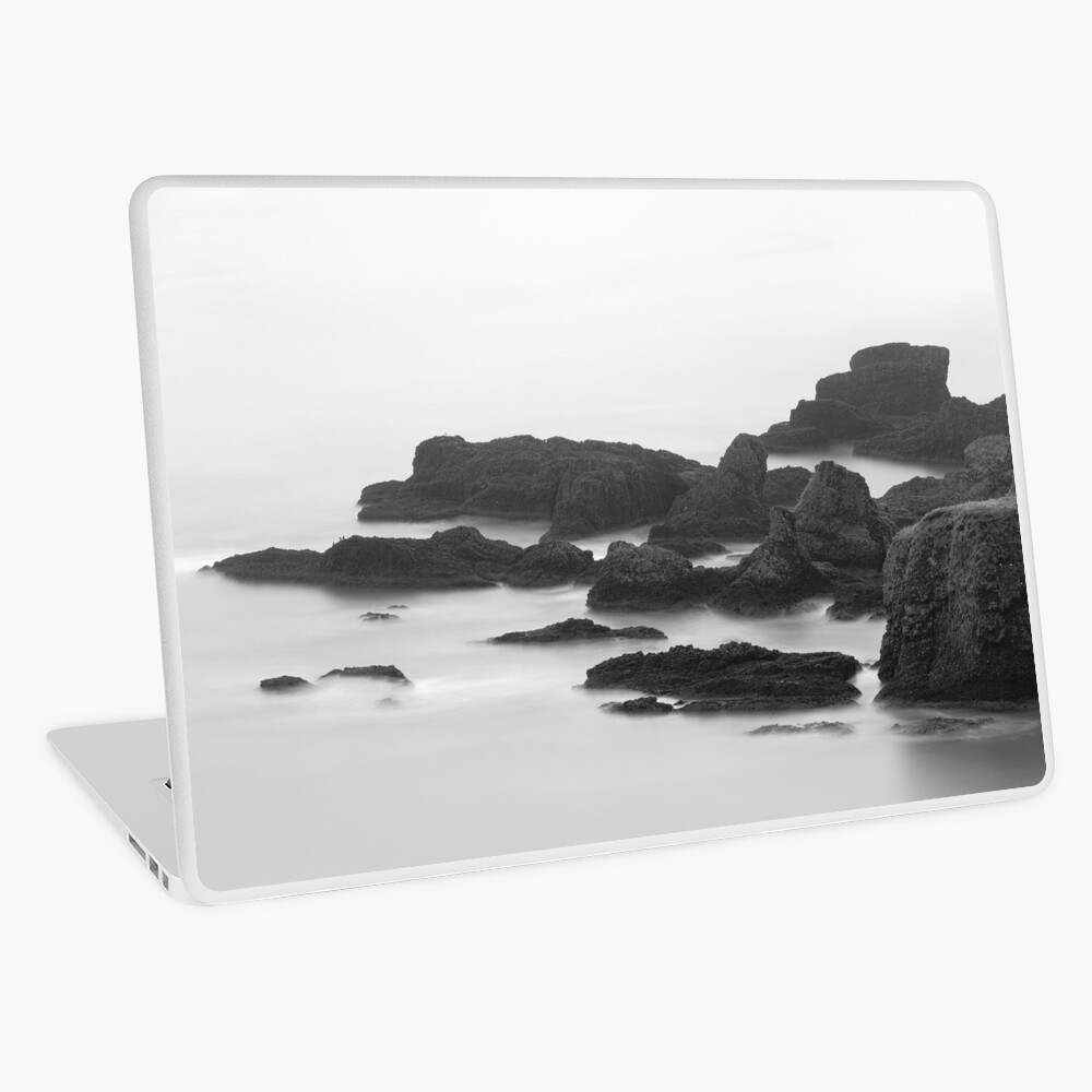 Item preview, Laptop Skin designed and sold by ShinyPhoto.