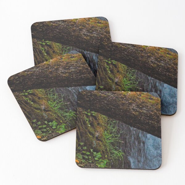 Item preview, Old growth tree toppled across Sol Duc Falls designed and sold by Elaine Bawden.