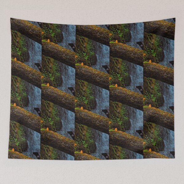 Item preview, Old growth tree toppled across Sol Duc Falls designed and sold by Elaine Bawden.