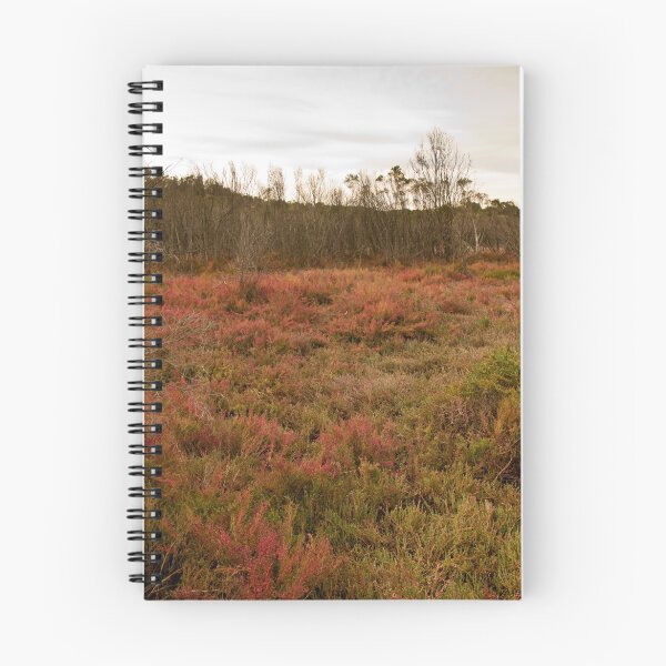 Item preview, wetland designed and sold by Gnangarra.