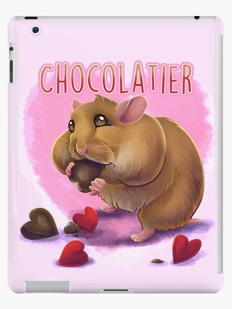 Chocolate syrian hamster best sale