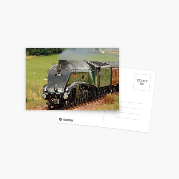 'Union of South Africa' steam train Postcard