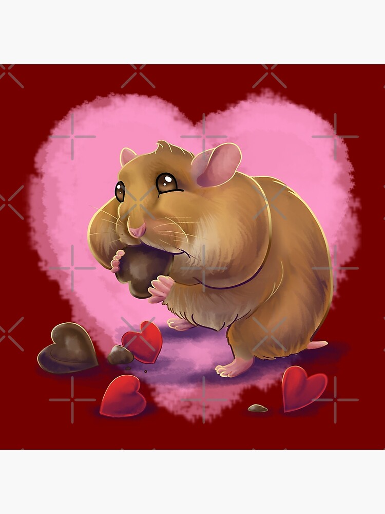 hamster eating chocolate