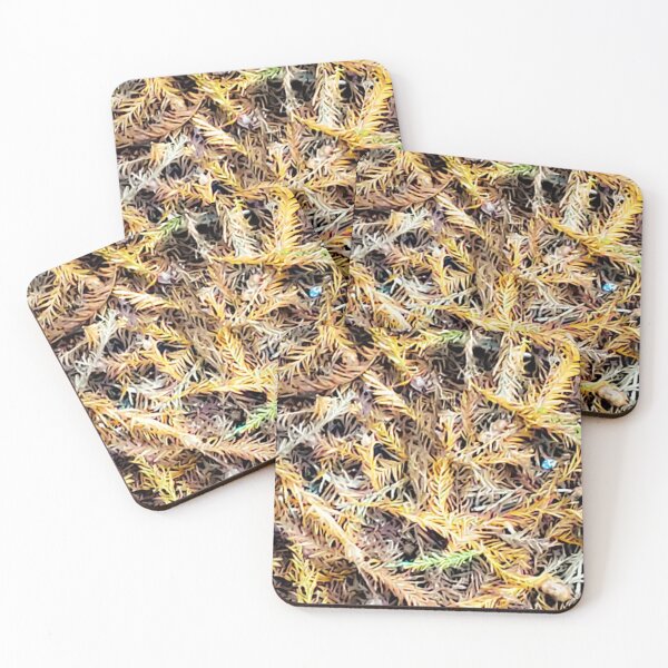Item preview, Pins and needles designed and sold by AncientDreamer.