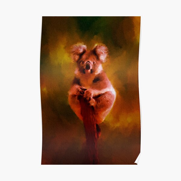 Koala in the Burning Australian Bush Poster