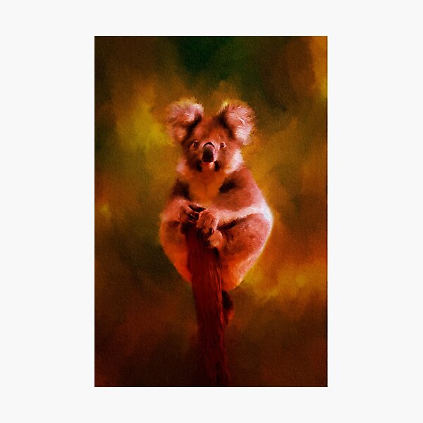 Photographic Print