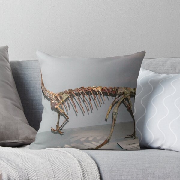 Item preview, Random Coelophysis designed and sold by skeletonsrus.