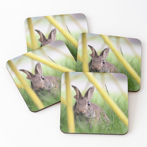 Item preview, Peek-A-Boo Bunny designed and sold by Tracy Friesen.