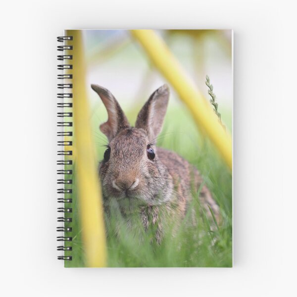 Item preview, Peek-A-Boo Bunny designed and sold by Tracy Friesen.
