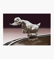 Angry Duck Hood Ornament Photographic Print