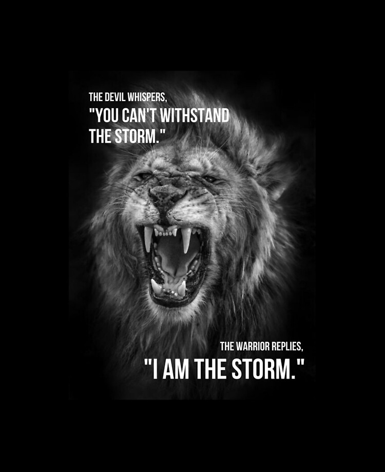 I AM THE STORM!!!  Storm quotes, Iphone background wallpaper, Quotes