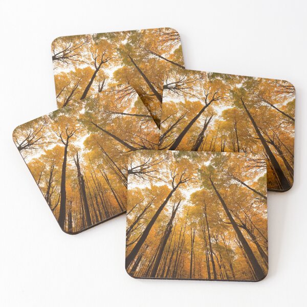 Item preview, "Autumn Tree Tops" designed and sold by RCNaturephotos.