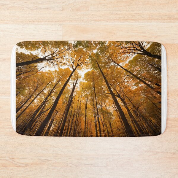 Item preview, "Autumn Tree Tops" designed and sold by RCNaturephotos.