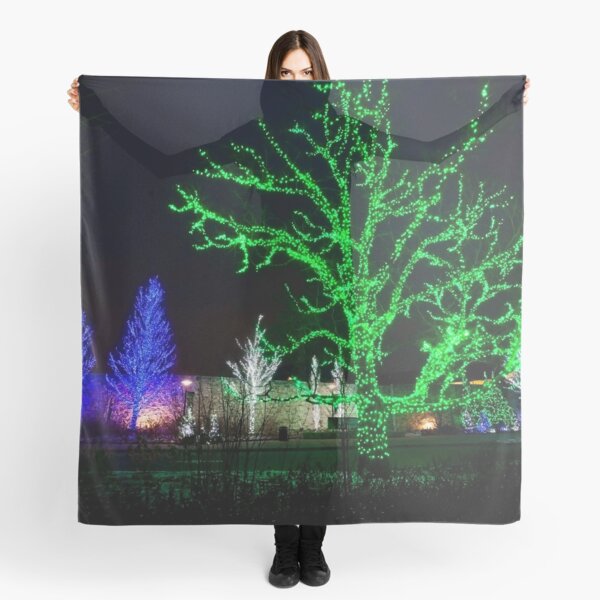 Outside The Morton Arboretum Visitors Center Scarf