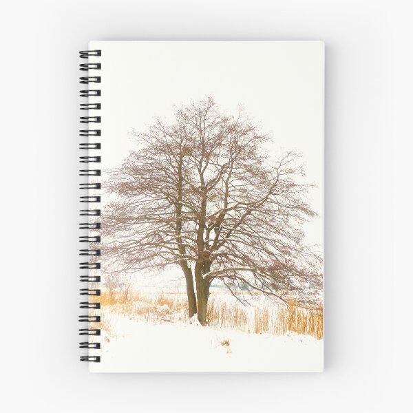 Item preview, Black Alder - overexposed designed and sold by globeboater.