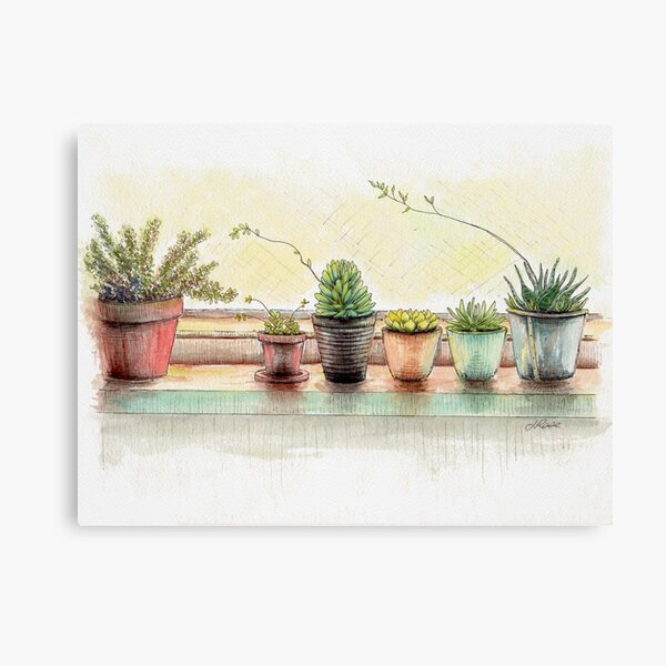 Succulents, Still Life Canvas Print