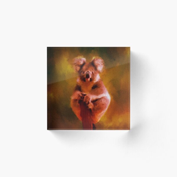 Koala in the Burning Australian Bush Acrylic Block