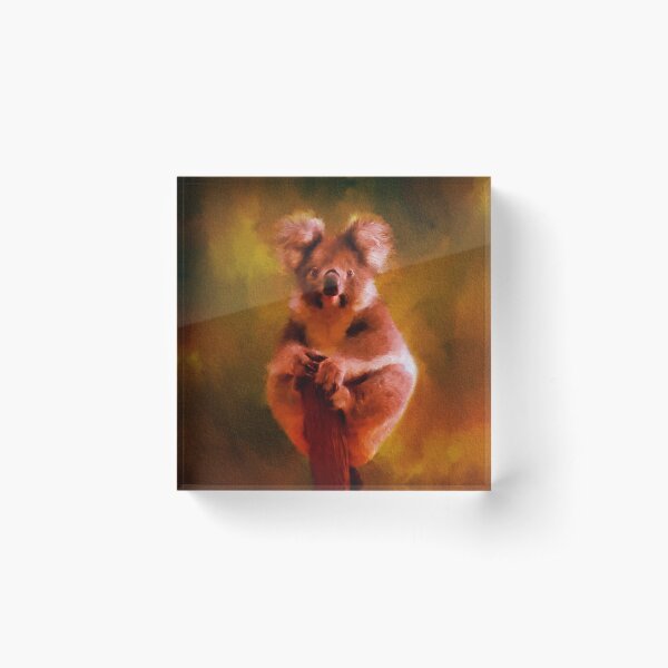 Koala in the Burning Australian Bush Acrylic Block