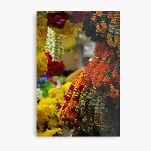 Floral Archway Metal Print