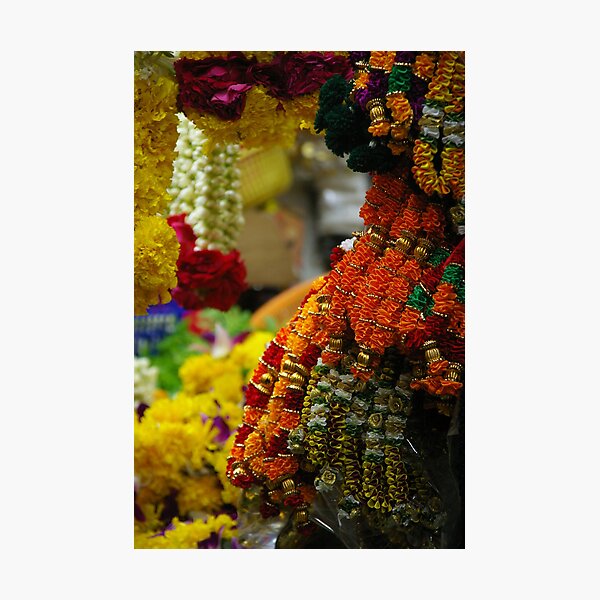 Floral Archway Photographic Print