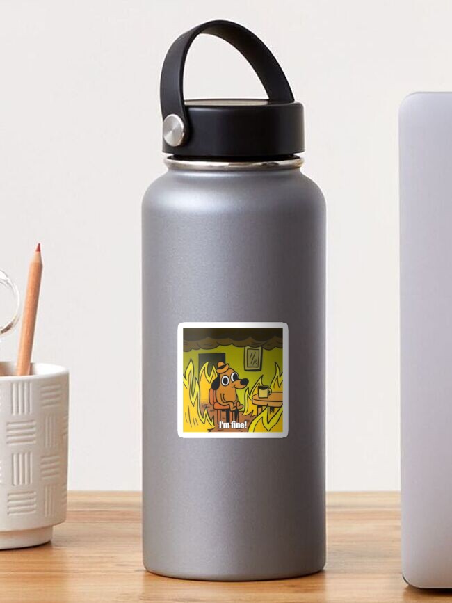 Im Fine Bear Thermos Flask – The Kawaii Shoppu